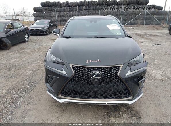 JTJSARDZ9M2263372 2021 LEXUS NX 300 Black Widok z przodu