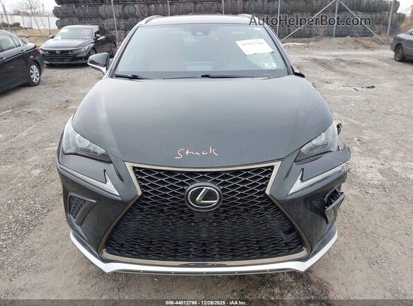 JTJSARDZ9M2263372 2021 LEXUS NX 300 Black Widok z tyłu