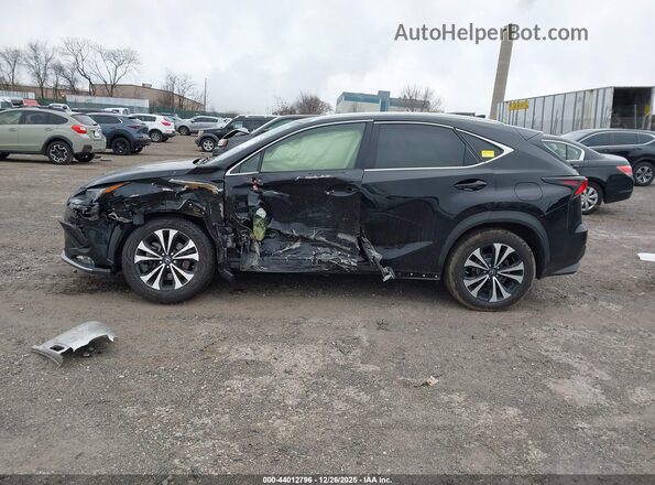 JTJSARDZ9M2263372 2021 LEXUS NX 300 Black Widok wnętrza 360 stopni