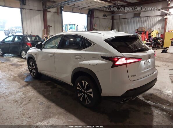 JTJSARDZ9M5019879 2021 LEXUS NX 300 White Tył lewy