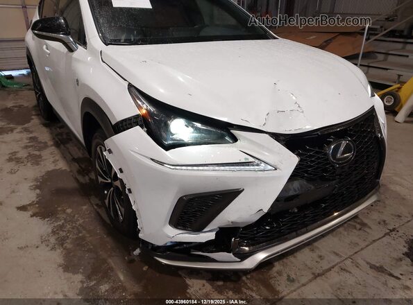 JTJSARDZ9M5019879 2021 LEXUS NX 300 White Widok z przodu