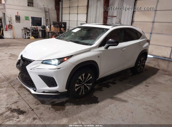 JTJSARDZ9M5019879 2021 LEXUS NX 300 White Przód lewy