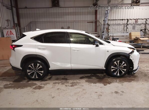 JTJSARDZ9M5019879 2021 LEXUS NX 300 White Widok wnętrza z tyłu
