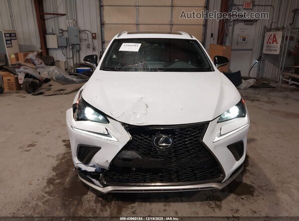 JTJSARDZ9M5019879 2021 LEXUS NX 300 White Widok zestawu wskaźników
