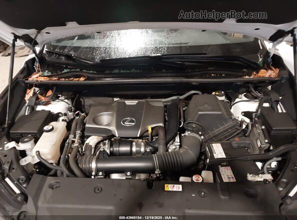 JTJSARDZ9M5019879 2021 LEXUS NX 300 White Widok z tyłu