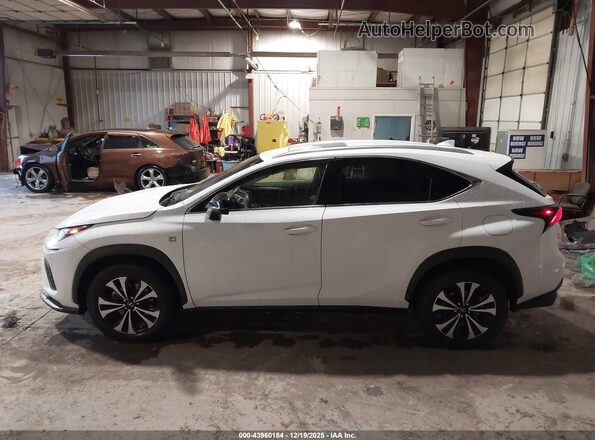 JTJSARDZ9M5019879 2021 LEXUS NX 300 White Widok wnętrza 360 stopni