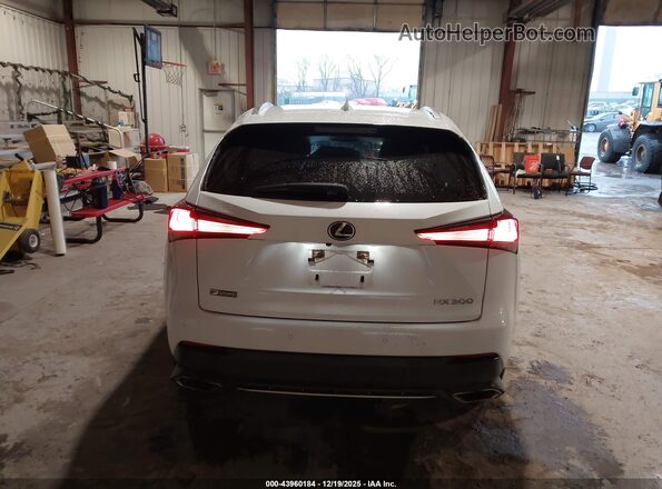 JTJSARDZ9M5019879 2021 LEXUS NX 300 White 