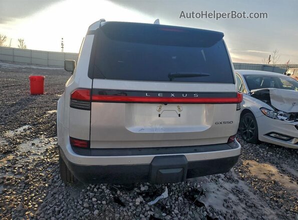 JTJVBCDX5S5063641 2025 LEXUS GX Белый Вид сзади