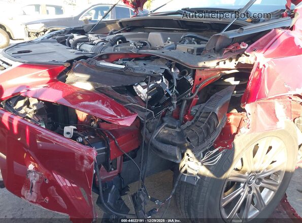 JTJYARBZ1K2154673 2019 LEXUS NX 300 Красный Вид спереди