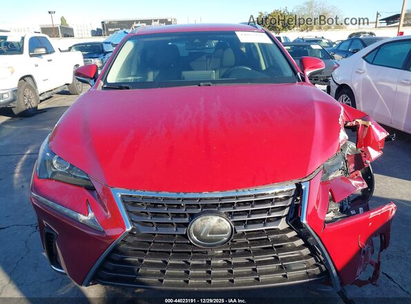 JTJYARBZ1K2154673 2019 LEXUS NX 300 Красный Вид задней части салона