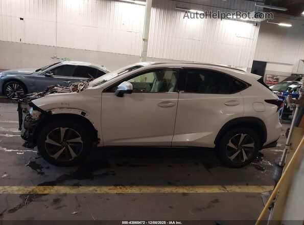 JTJYARBZ2J2096054 2018 LEXUS NX 300 White 