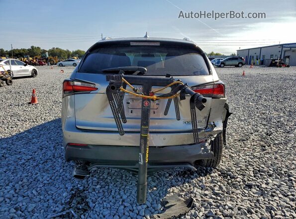 JTJYARBZ7G2029894 2016 LEXUS NX Серебряный Вид сзади