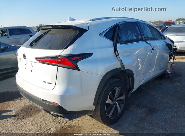 JTJYARBZ8K2135876 2019 LEXUS NX 300 White უკანა მარჯვენა