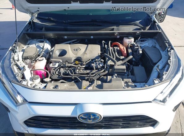JTM16RFV1RJ044803 2024 TOYOTA RAV4 HYBRID White Widok z tyłu