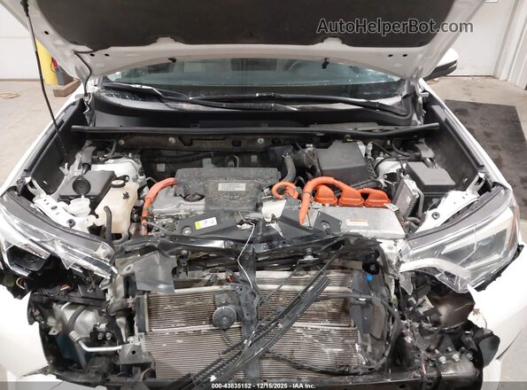 JTMDJREV4JD251718 2018 TOYOTA LIMITED Белый 