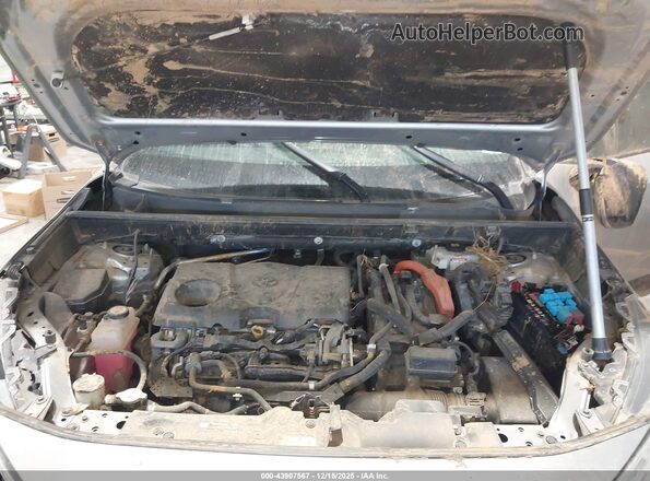 JTMEWRFV3LJ049543 2020 TOYOTA RAV4 HYBRID Gray უკანა ხედი