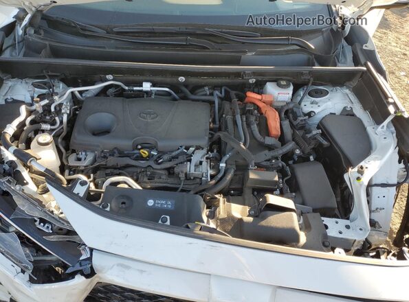 JTMFB3FV3MD047076 2021 TOYOTA RAV4 White 