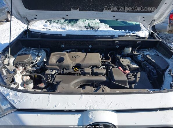 JTMG1RFV2PD094260 2023 TOYOTA LE White Вид ззаду