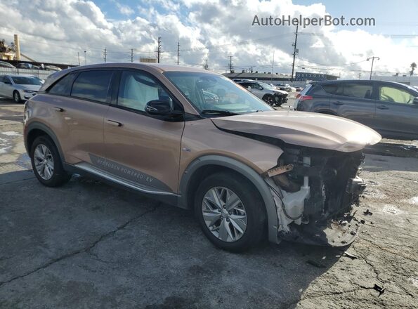 KM8J74A69MU013835 2021 HYUNDAI NEXO Tan Widok z przodu