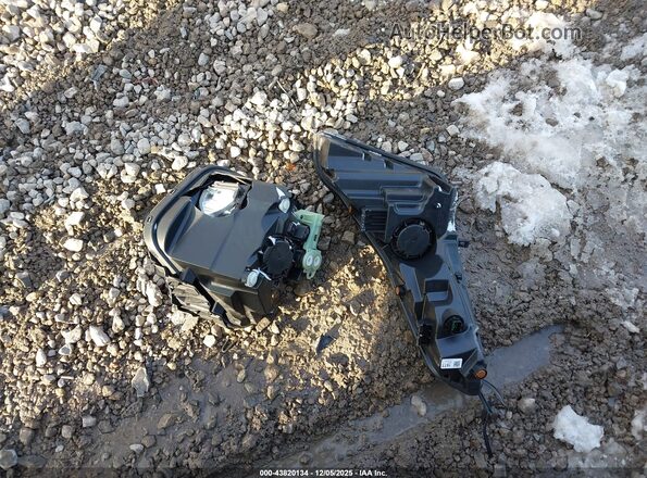KM8JCCD11RU142584 2024 HYUNDAI TUCSON HYBRID Green 