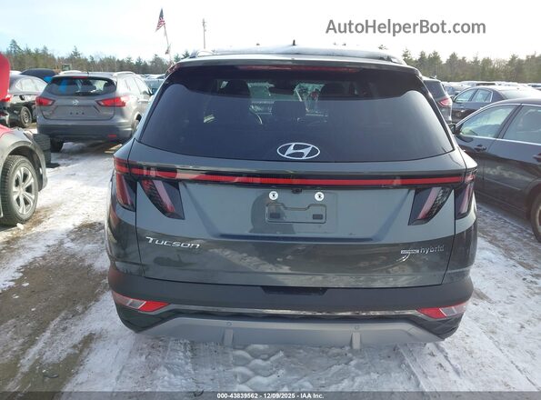 KM8JECD1XRU217907 2024 HYUNDAI TUCSON HYBRID Gray 
