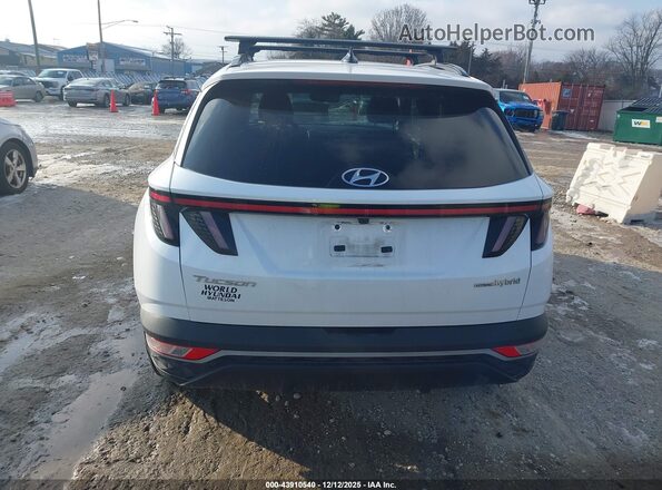 KM8JFCA18NU077481 2022 HYUNDAI TUCSON HYBRID White 