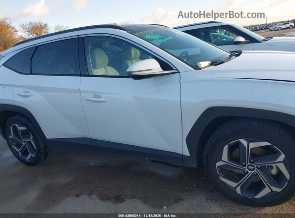 KM8JFDD26RU159855 2024 HYUNDAI TUCSON PLUG-IN HYBRID Белый Вид задней части салона