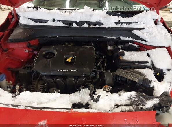 KM8K2CAA6LU572470 2020 HYUNDAI KONA Orange Вид ззаду