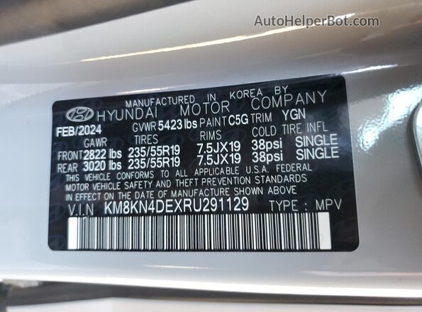 KM8KN4DEXRU291129 2024 HYUNDAI IONIQ Gray Vista de la etiqueta del VIN