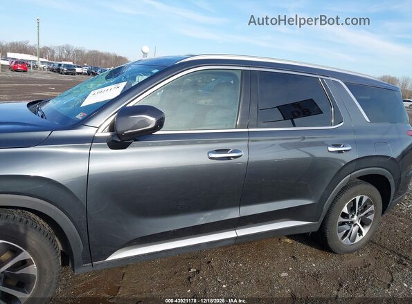 KM8R24HE8LU052283 2020 HYUNDAI PALISADE Green Панорамний вид салону 360°