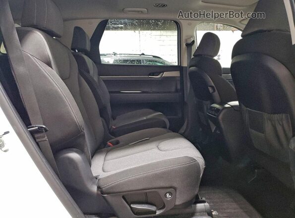 KM8R2DHE6LU051438 2020 HYUNDAI PALISADE White უკანა სალონის ხედი