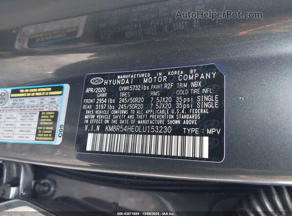 KM8R54HE0LU153230 2020 HYUNDAI PALISADE Gray Engine compartment view