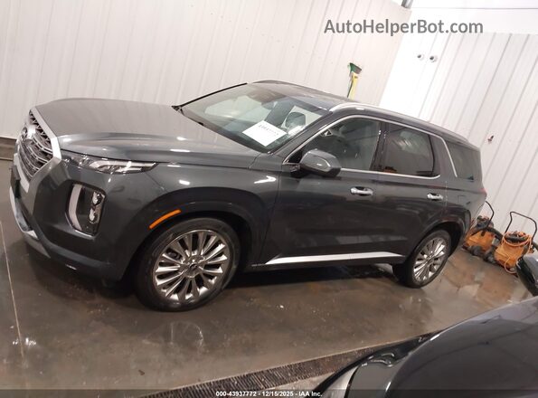 KM8R5DHE6LU165222 2020 HYUNDAI PALISADE Синий Панорамный вид салона 360°
