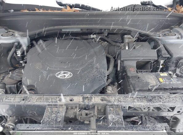 KM8R5DHE7LU101903 2020 HYUNDAI PALISADE Серый Вид сзади