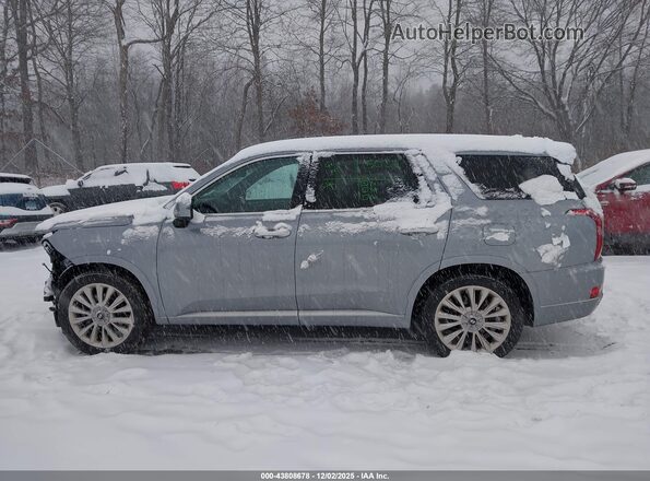 KM8R5DHE7LU101903 2020 HYUNDAI PALISADE Серый Панорамный вид салона 360°
