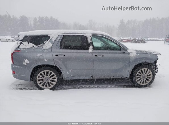 KM8R5DHE7LU101903 2020 HYUNDAI PALISADE Серый Вид задней части салона