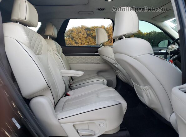 KM8R5DHEXLU115083 2020 HYUNDAI PALISADE Black Вид задньої частини салону