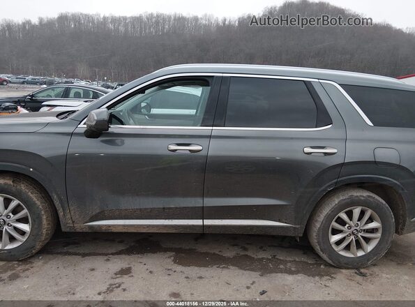 KM8R7DGE3RU795977 2024 HYUNDAI PALISADE Gray Սալոնի 360 աստիճան տեսք