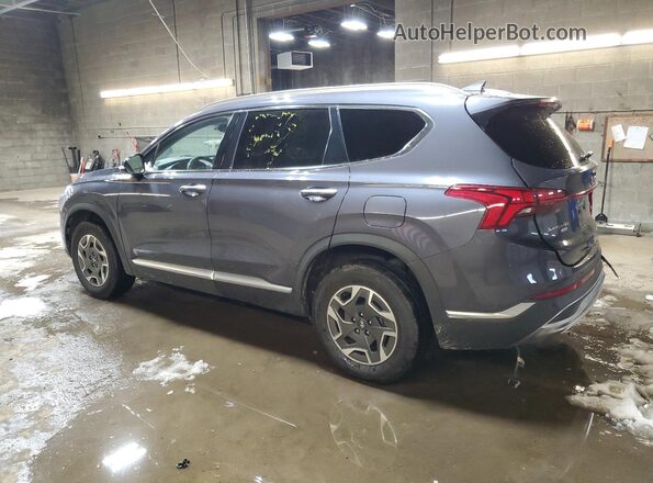 KM8S2DA17MU011329 2021 HYUNDAI SANTA Gray უკანა მარცხენა