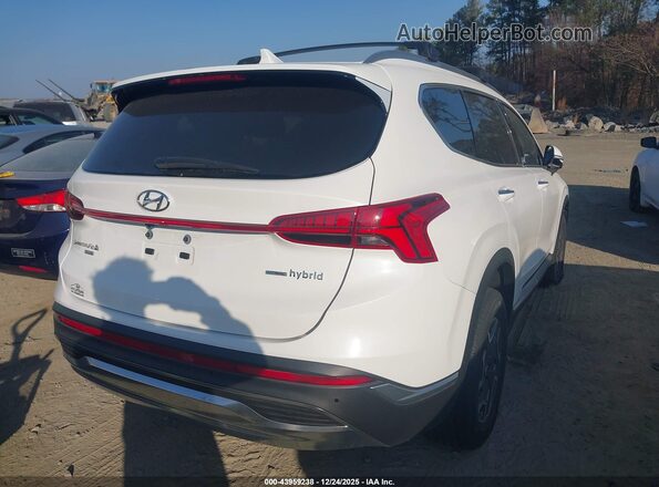 KM8S2DA18NU049072 2022 HYUNDAI SANTA FE HYBRID BLUE White 