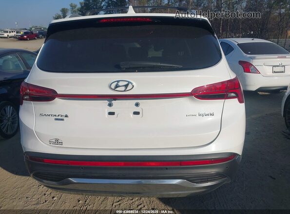 KM8S2DA18NU049072 2022 HYUNDAI SANTA FE HYBRID BLUE White 
