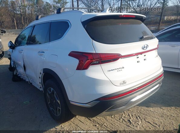 KM8S2DA18NU049072 2022 HYUNDAI SANTA FE HYBRID BLUE White 