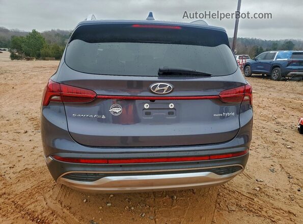 KM8S5DA12NU058647 2022 HYUNDAI SANTA Gray Widok z tyłu