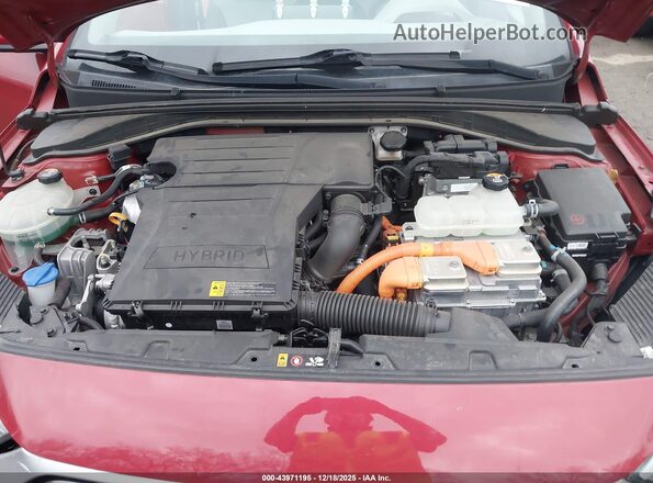KMHC65LC0LU206992 2020 HYUNDAI IONIQ HYBRID Красный Вид сзади