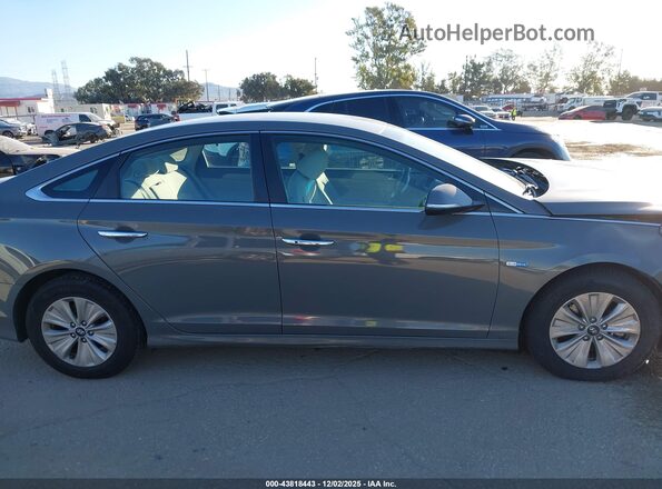 KMHE24L33KA093599 2019 HYUNDAI SONATA HYBRID Gray უკანა სალონის ხედი