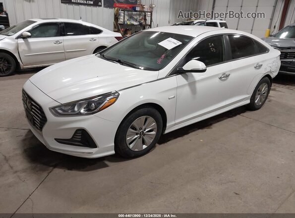 KMHE24L36KA090454 2019 HYUNDAI SONATA HYBRID Белый Передняя левая четверть
