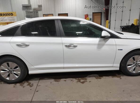 KMHE24L36KA090454 2019 HYUNDAI SONATA HYBRID Белый Вид задней части салона