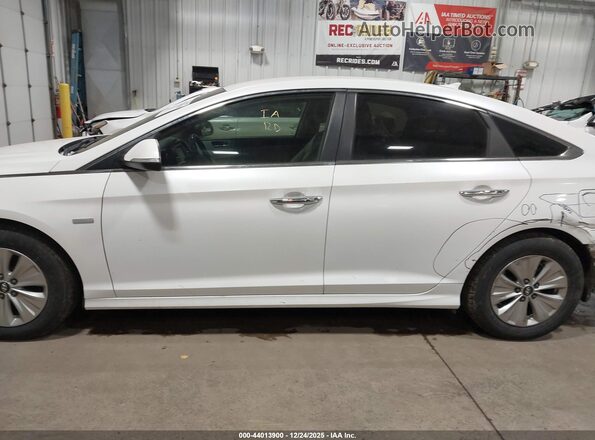KMHE24L36KA090454 2019 HYUNDAI SONATA HYBRID Белый Панорамный вид салона 360°