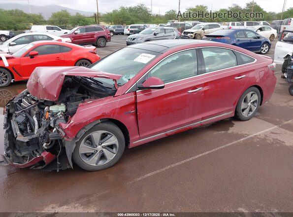 KMHE34L1XGA027098 2016 HYUNDAI SONATA HYBRID Red Przód lewy