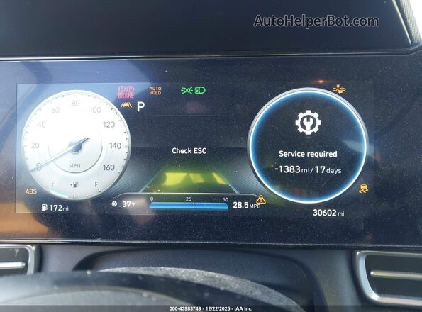 KMHLS4AG5PU445942 2023 HYUNDAI ELANTRA Blue Вид задніх сидінь